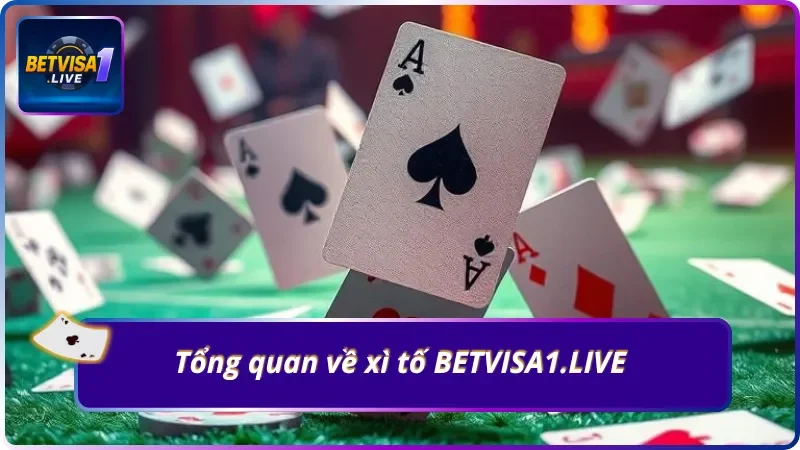  Khám phá nhanh xì tố BETVISA1.LIVE